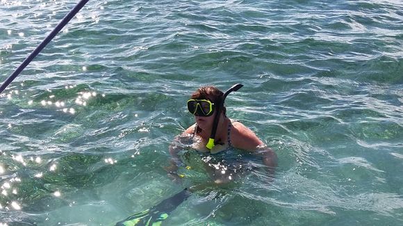 Suzie in the water.