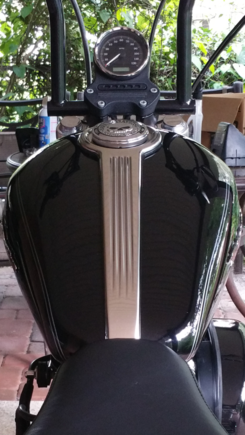 Tank trim w/ Willie G medallion on stock cap. Bye bye...
