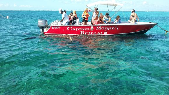 View from our boat at Shark/Ray Alley off Ambergris Caye, Belize