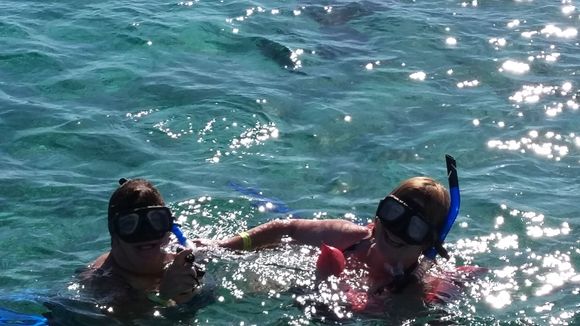 The brave snorkellers!