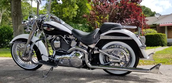 05 softail deluxe chromed out