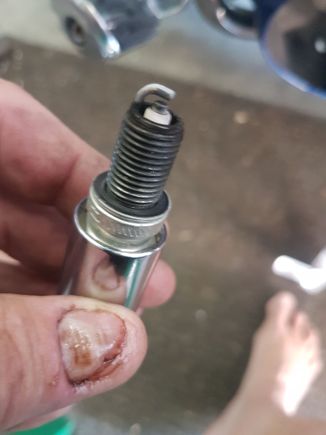 rear plug