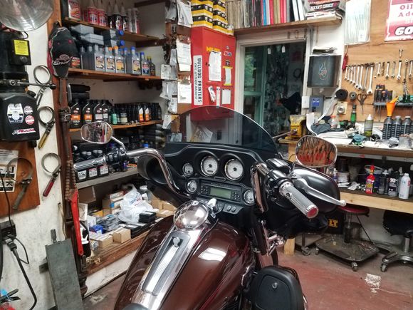 Wild One 0577s