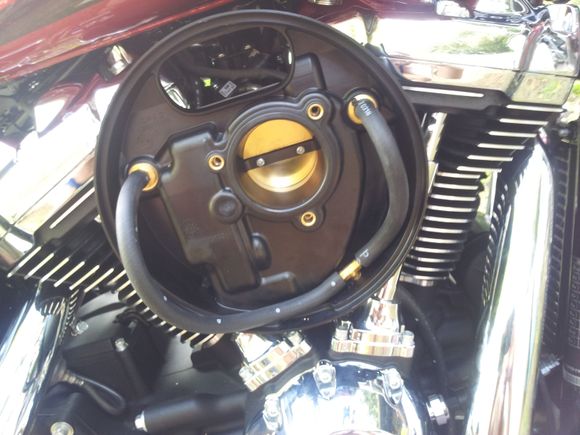 Hi Mate, this is what i did with my FXLR is a real simple mod to keep all that cheese from entering your Animal