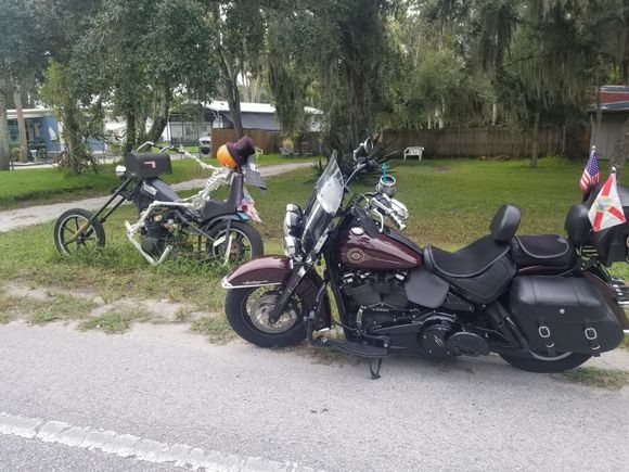 Almost got run over getting this pic.