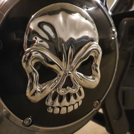 Closeup Skull