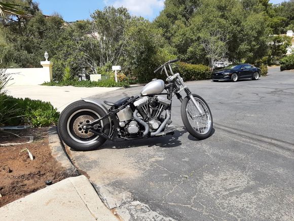 Hope this week to get rear spoke mounted 