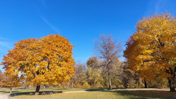 The colors at lock and dam 13 were blazing. 