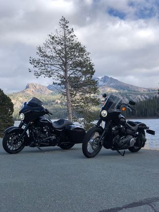  Current streetbob