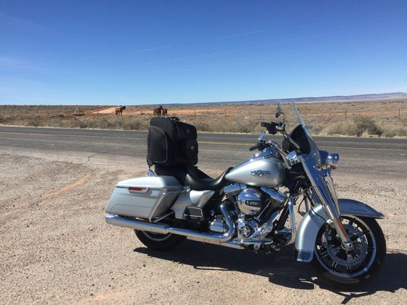 H-D rolling bag on the passenger seat makes a nice backrest. 
