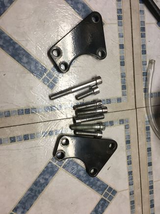 Here is what I am sending out today.  I remembered these being chrome...... I have no idea what the heck the long bolt is for, but it was in the box that I had these stored in.  I hope the black is OK fir you