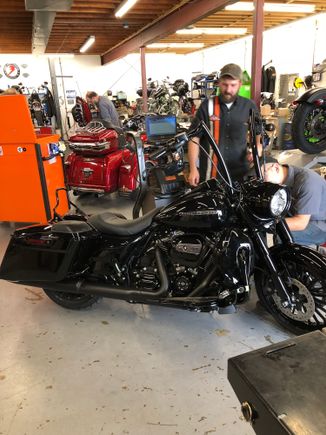 Harley brawler solo seat