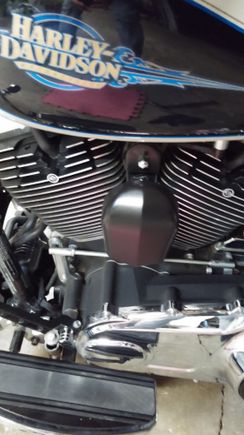 Plasti-Dipped horn cover.
