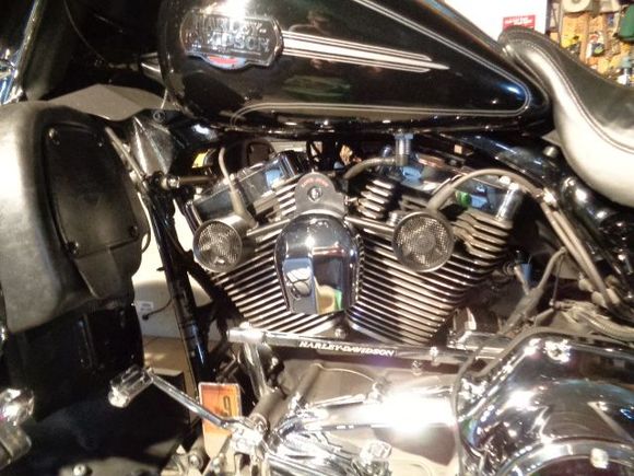 Old Shiney just a little bit cooler this summer!