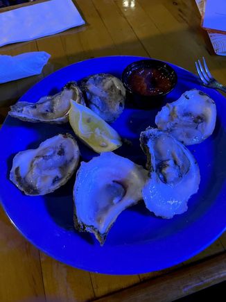 Oysters