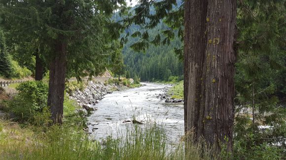 Lochsa River from Hwy 12.