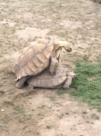 This was Wednesday ,I wanted to post it then, for the laugh.