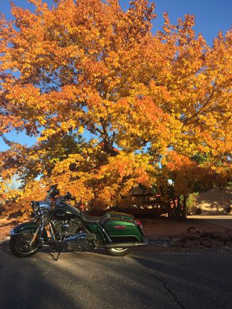 In case anyone plays hardball about the gloves being moved, I'm gifting this one to ChrisG!