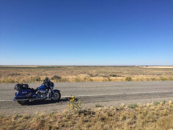 The road from Pocatello to Craters.