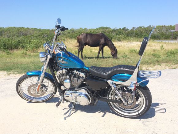 Here is a better view of the set up, Harley says to only put 10lbs of stuff on the rack.....I put way more than that.