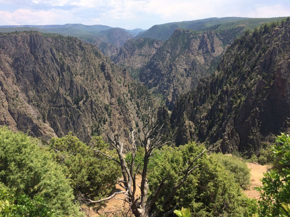 There is a road that drops 2,000 feet in two miles to the bottom of the canyon. It was more fun riding back up.