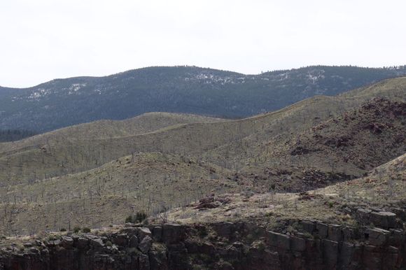 I believe this area burned in 202, Dutch John was threatened by the fir and a huge effort by the Wild Lands Fire fighters kept it at bay,