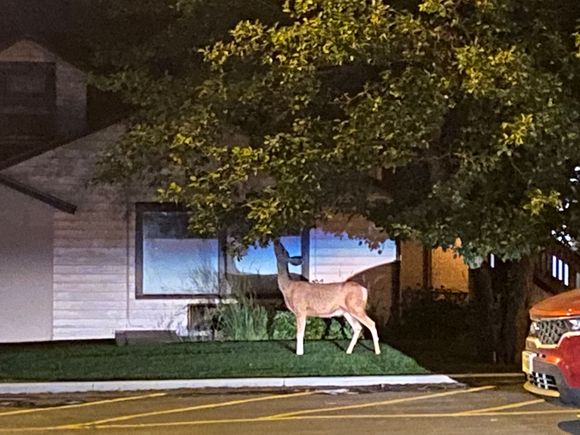 Best Western, Cody WY 4 am