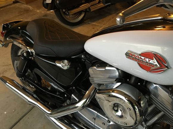 wife's sportster showing tank pinstripe w red tank badge and seat w red thread.