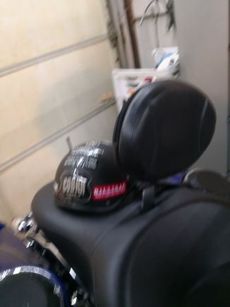 back rest installed, has a zippered pouch on back for her phone etc.