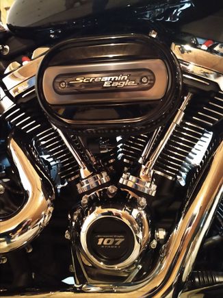 ....and the ventilator I recently put on.  Can't ride, got play. Lol