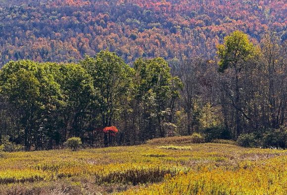 Autumn in the Catskills. 