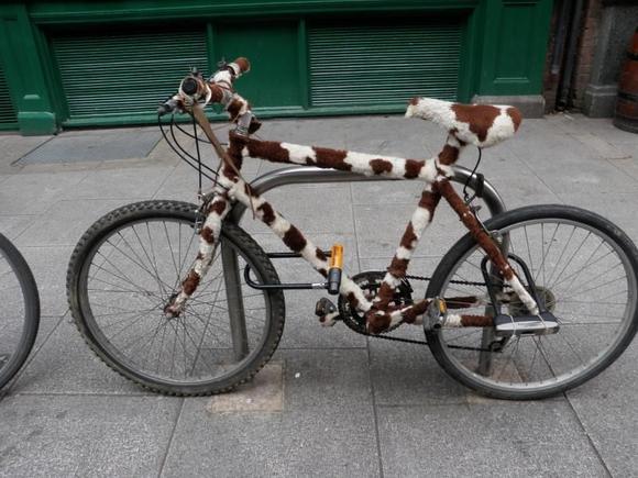 some carzy cowbike in ireland!