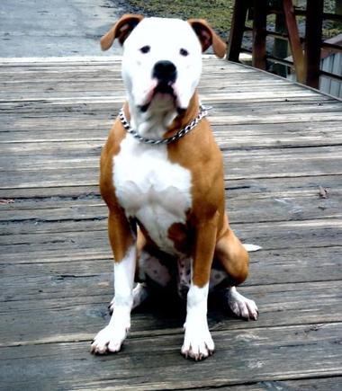 Six months old in this pic.