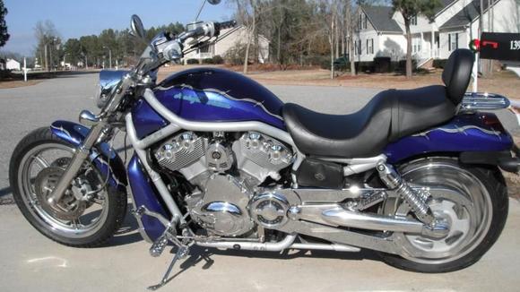 2003 VROD Harley Radical Paint #81/200