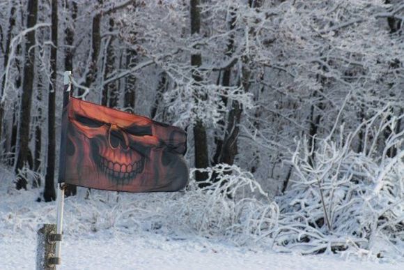 Hog House flag