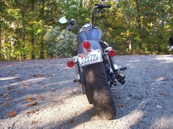 These pictures were taken in my front yard.