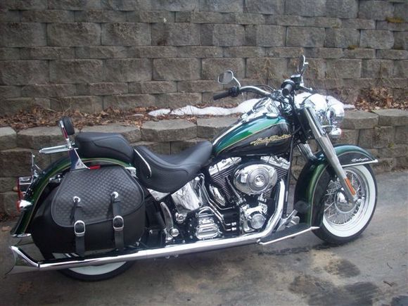 06 deluxe dragonfly green