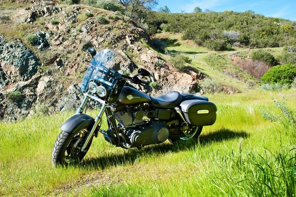 2010 Fat Bob