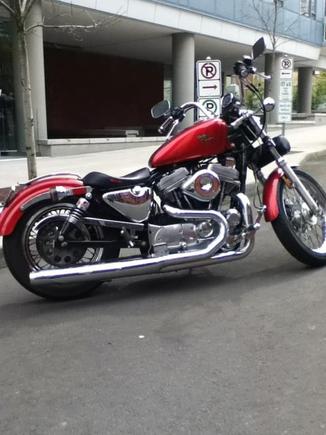 1990 Sportster