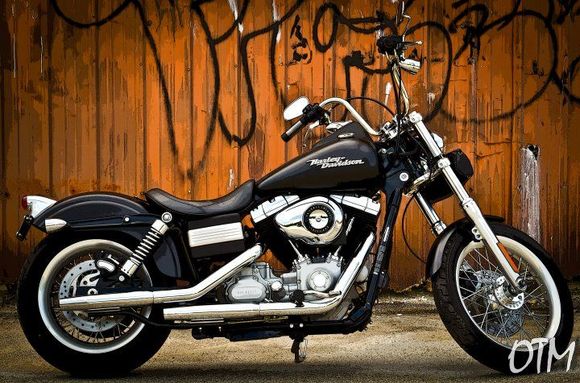 271033 2220416190990 1265228176 2668811 4889885 n