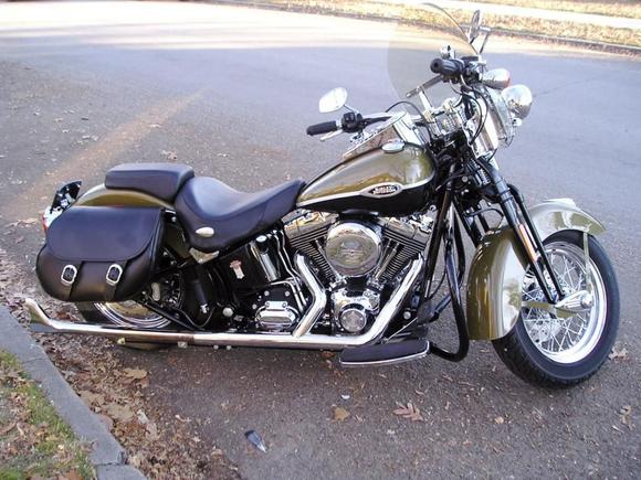 2007 springer