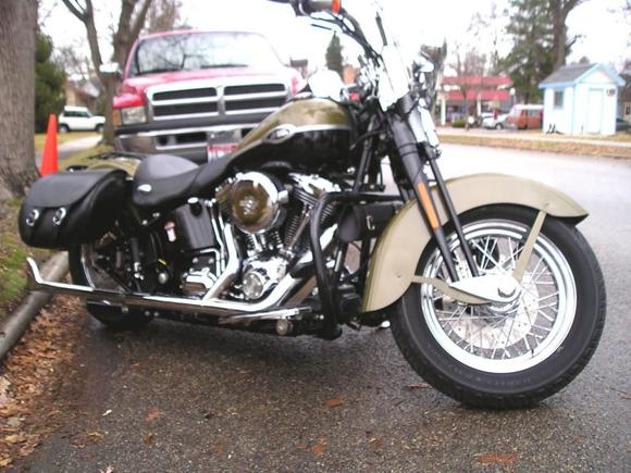 2007 Springer