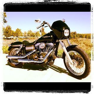 2007 Street Bob