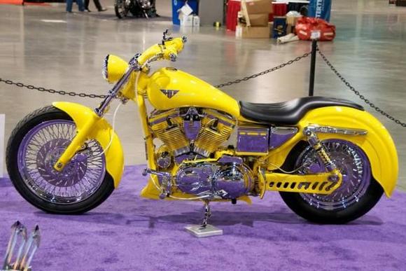 phoca thumb l georg colvin reinbikenated sportster 007