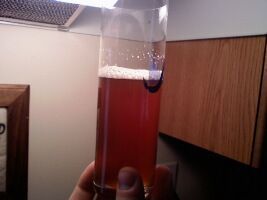 Final Product.  This particular guy is an IPA.