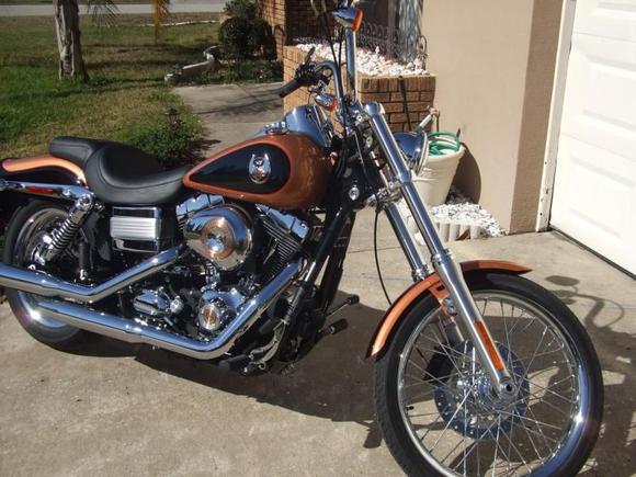 2008 HD Wide Glide2