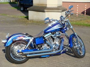 Harley   18