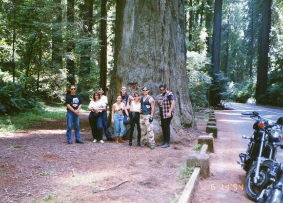 1994 Redwood run....