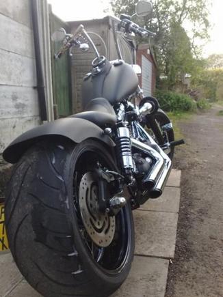 250 rear