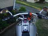 WILD1 Rear